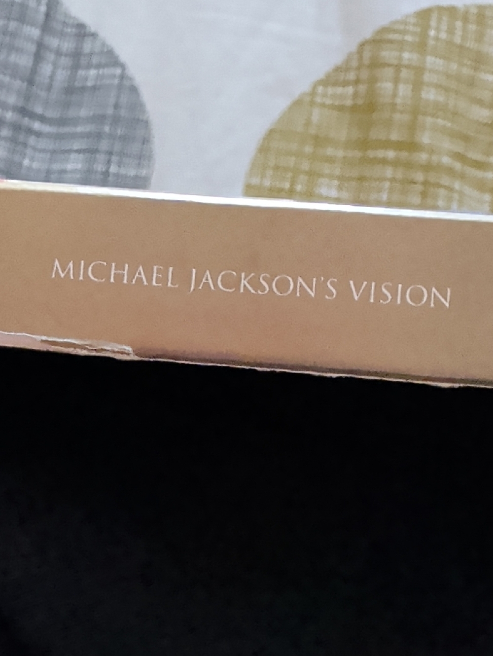 Michael Jackson Vision - Picture 2 of 6